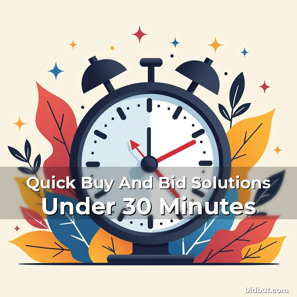 Artistic representation for Quick Buy And Bid Solutions Under 30 Minutes