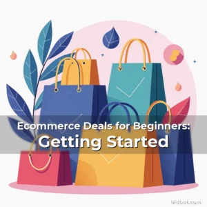 Artistic representation for Ecommerce Deals for Beginners: Getting Started