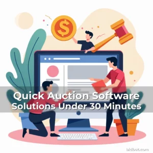 Artistic representation for Quick Auction Software Solutions Under 30 Minutes